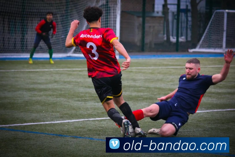 半岛体育官方网站平台生态图